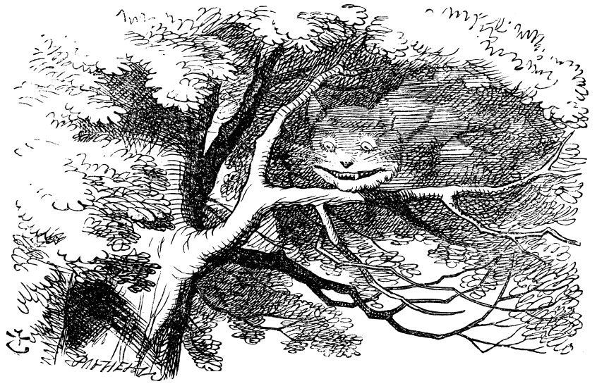 The Cheshire Cat consults Alice from a tree