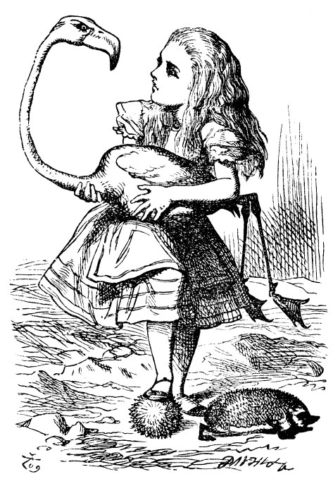 Alice holding onto a flamingo used for croquet