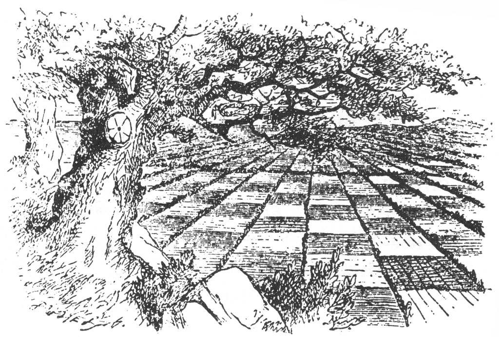 The Looking Glass World viewed from a distance